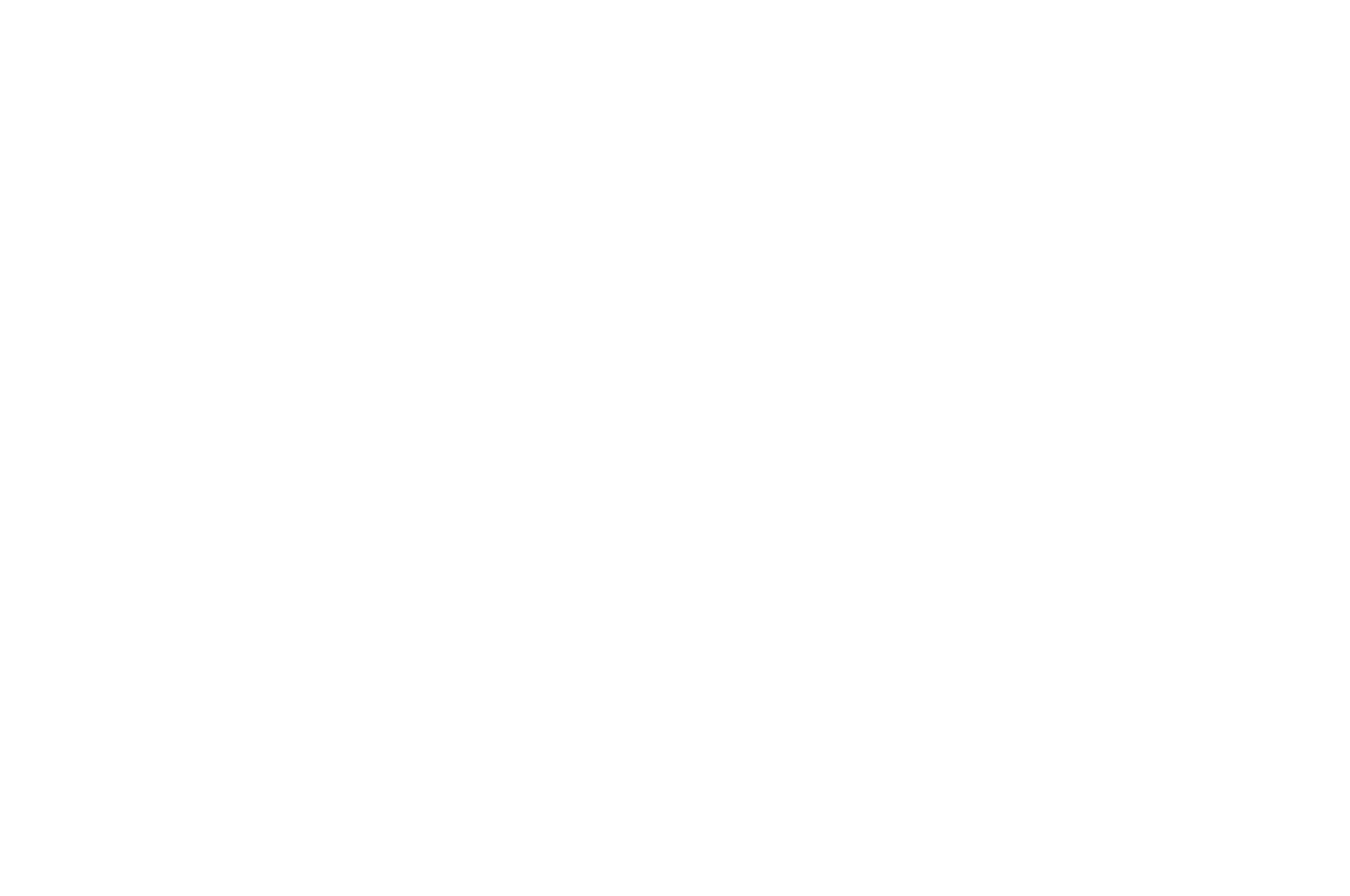 Hell PHYRE Cartoon Club Rimini festival banner